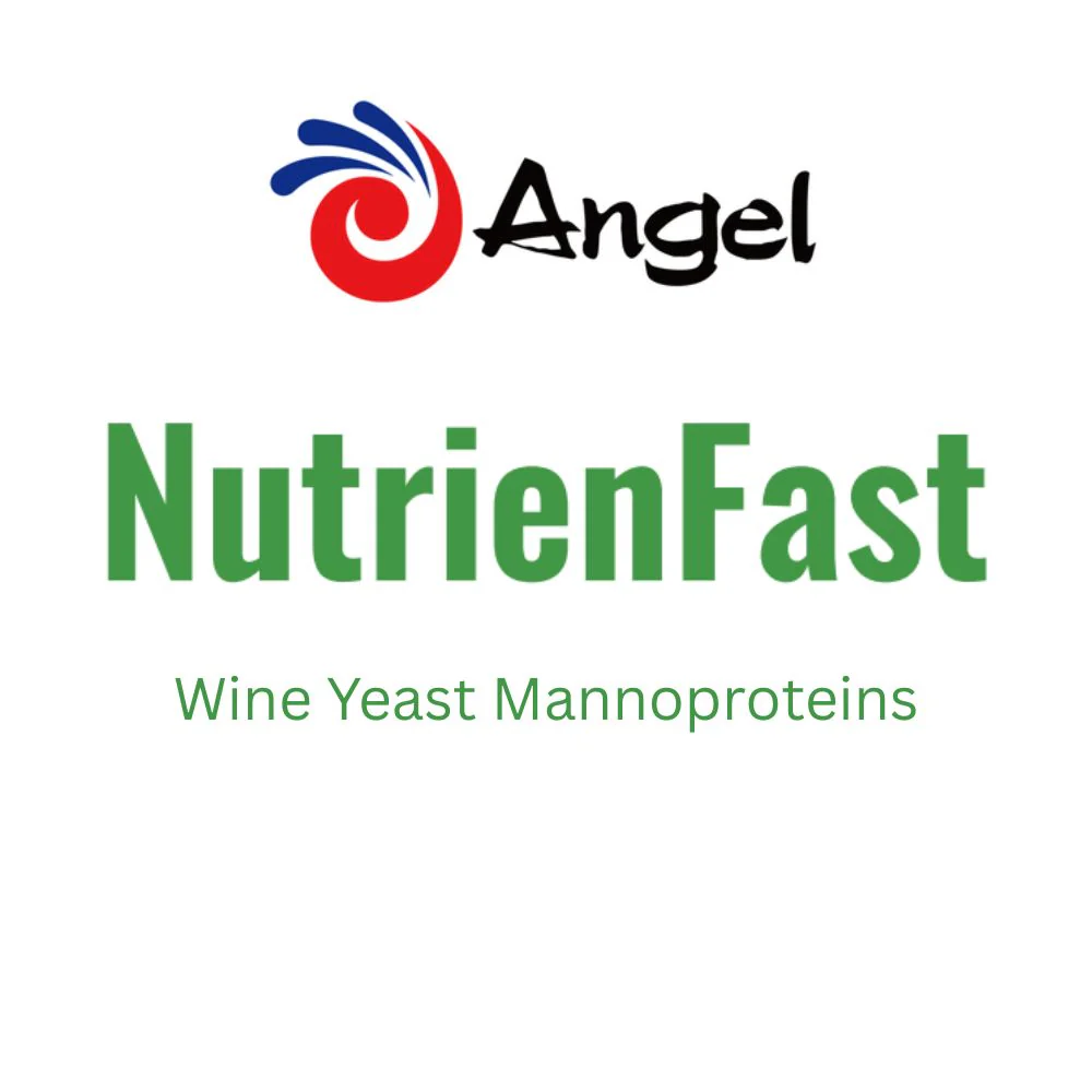 NUTRIENFAST - KegLand Angel - Yeast Nutrition - 100g - Image 2