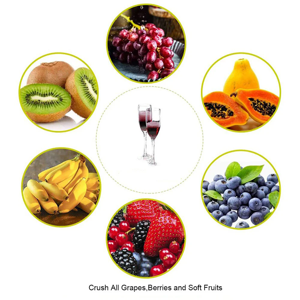 7L Fruit Crusher - Image 4