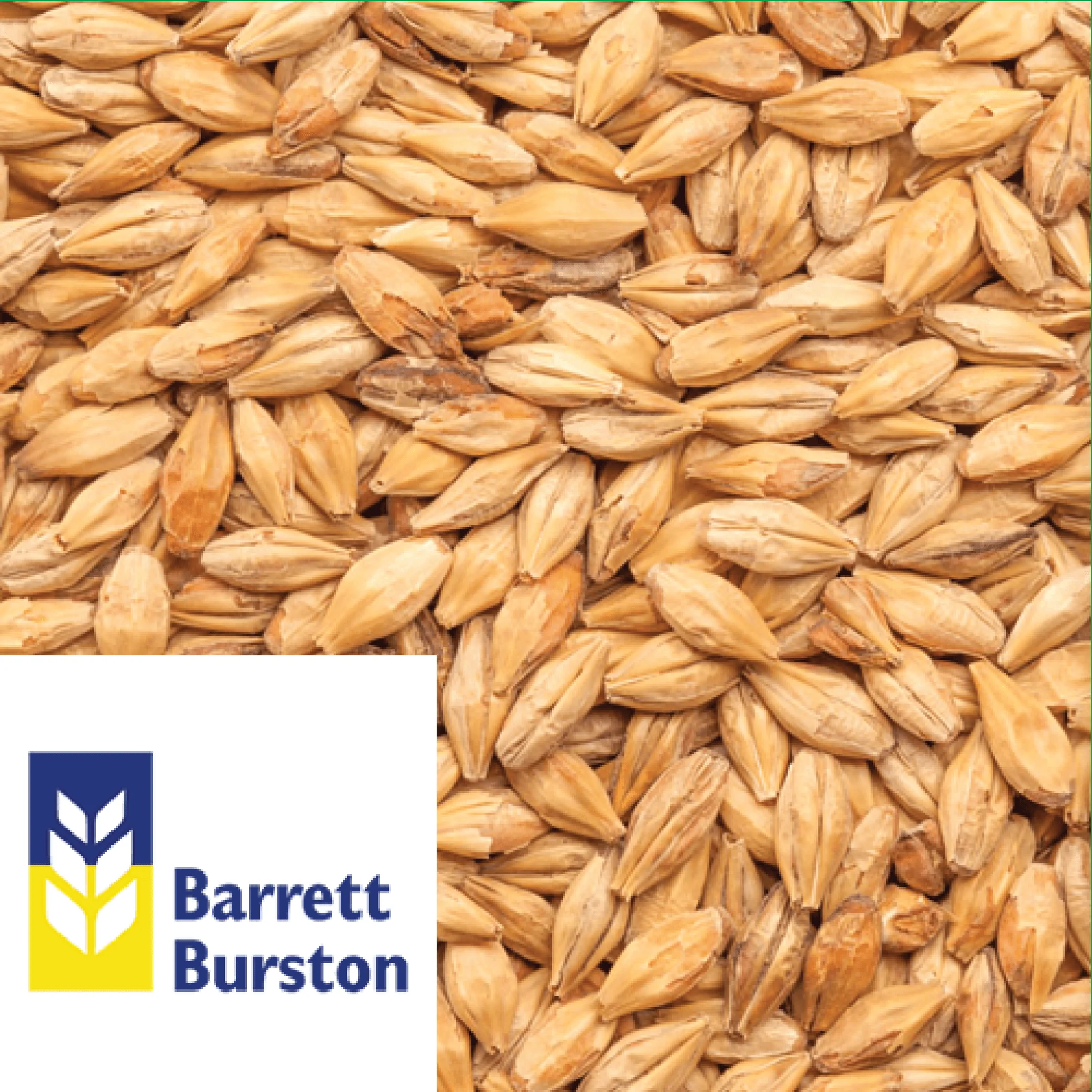25kg SACK - Caramalt - Barrett Burston (AUS) - Image 2