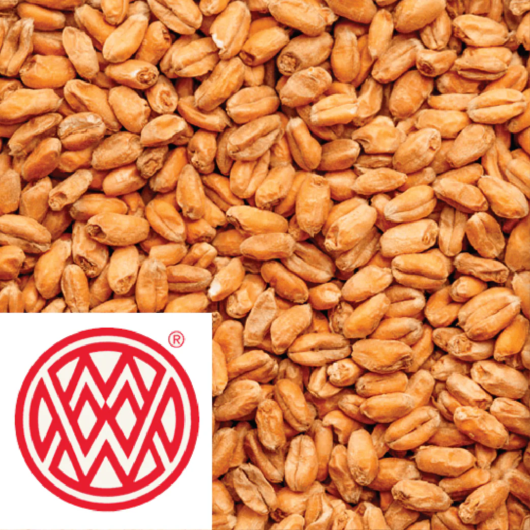 25kg SACK - Carawheat (Caramel Wheat) - Weyermann (GER) - Image 2