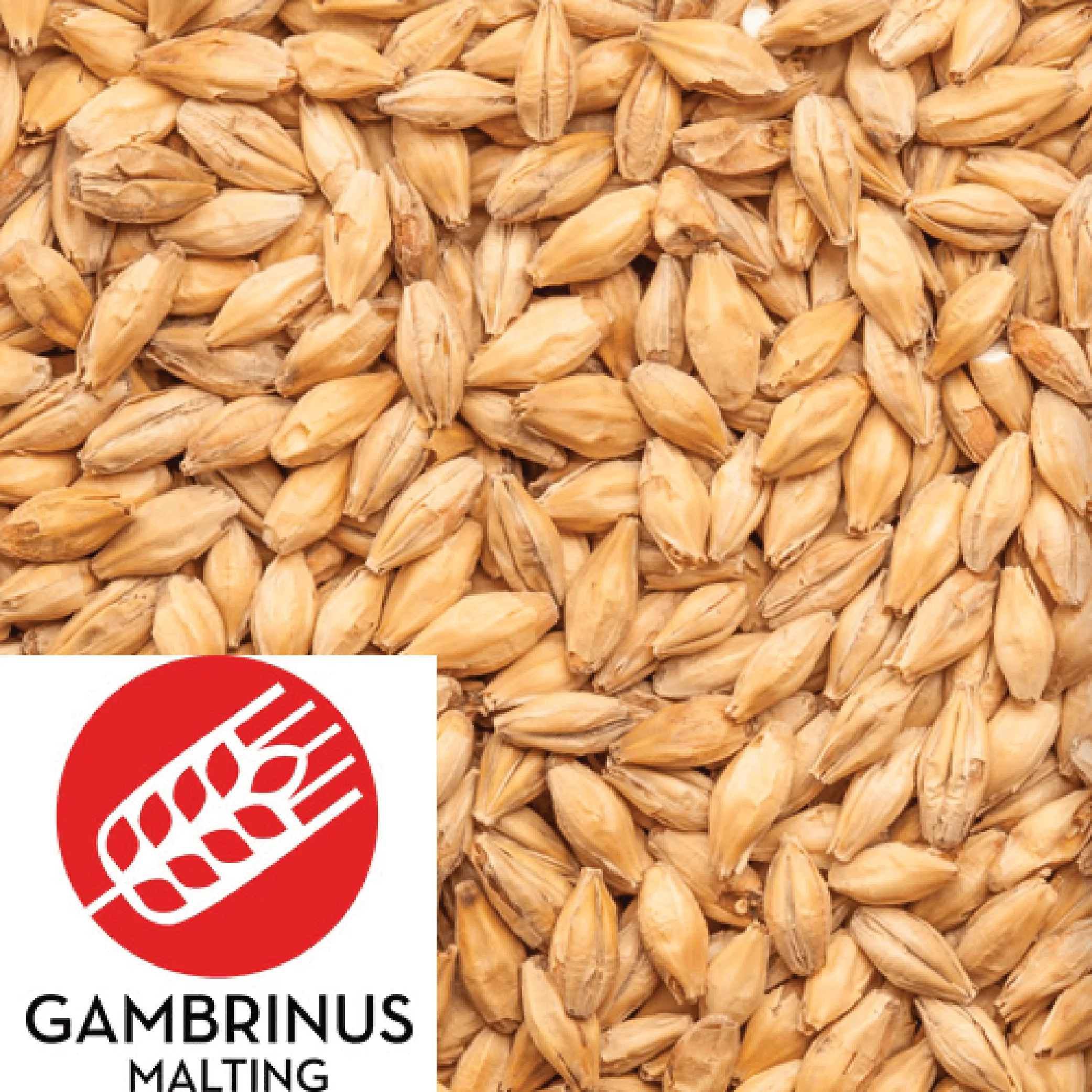 25kg SACK - Honey Malt - Gambrinus (CAN) - Image 2
