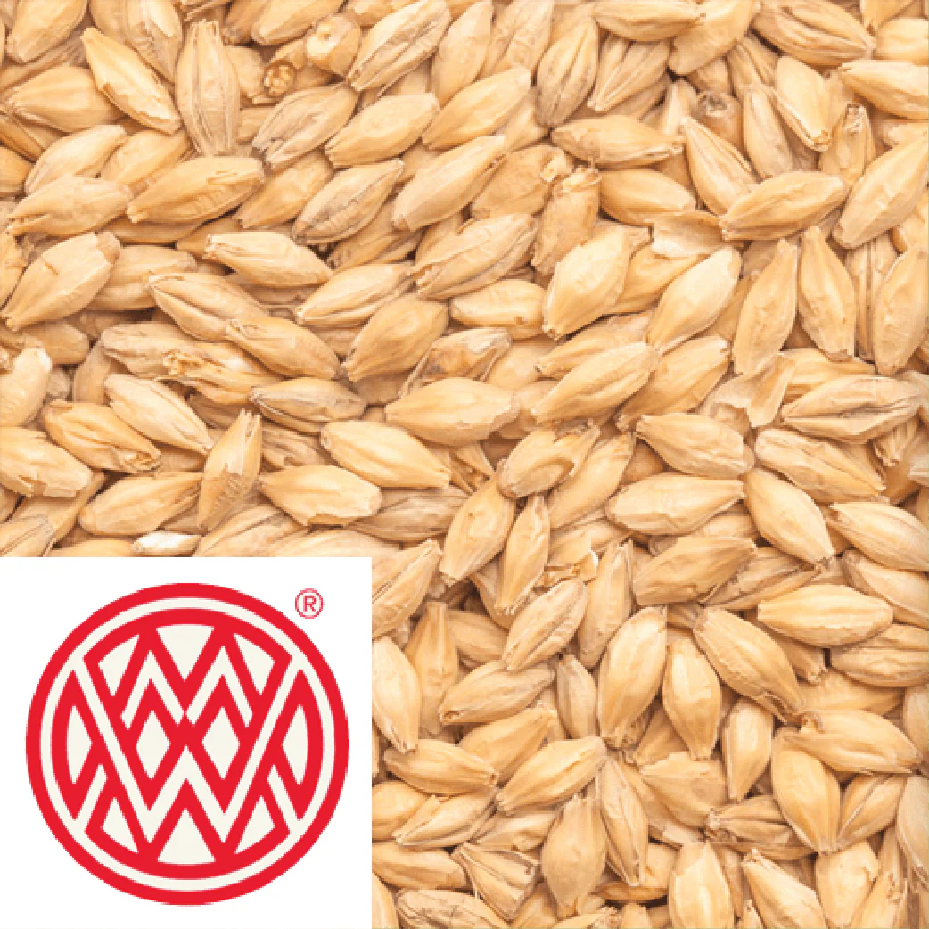 25kg SACK - Extra Pale Premium Pilsner - Weyermann (GER) - Image 2