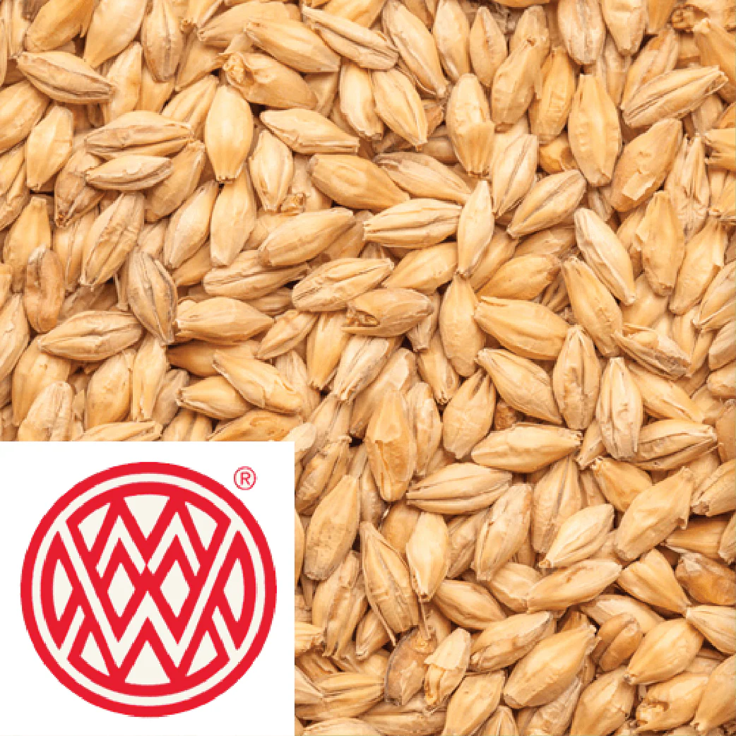 25kg SACK - Vienna - Weyermann (GER) - Image 2