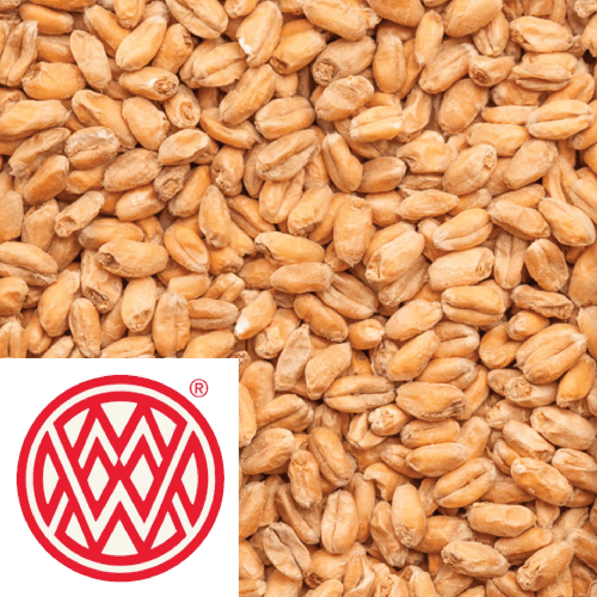 25kg SACK - Wheat Malt - Weyermann (GER) - Image 2